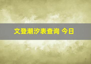 文登潮汐表查询 今日